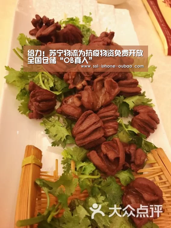 给力!苏宁物流为抗疫物资免费开放全国仓储“OB真人”(图1) OB真人